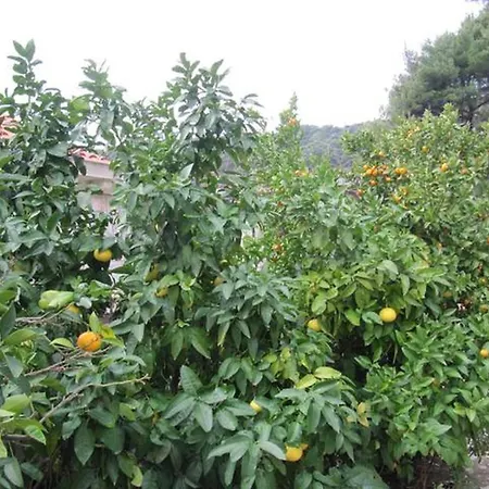 In With Sea View, Terrace, Air Conditioning, Wifi 5197-5 * 사플루나라