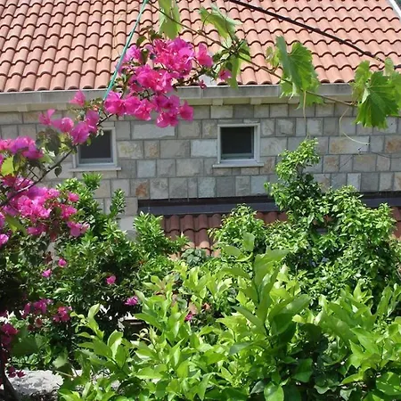 Διαμέρισμα In With Sea View, Terrace, Air Conditioning, Wifi 5197-5