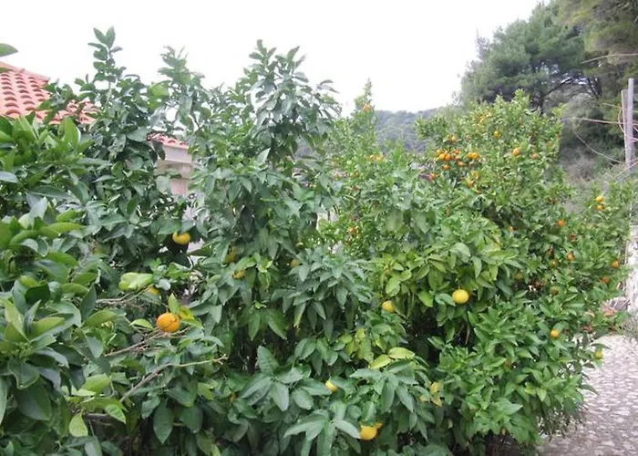 In With Sea View, Terrace, Air Conditioning, Wifi 5197-5 * Saplunara